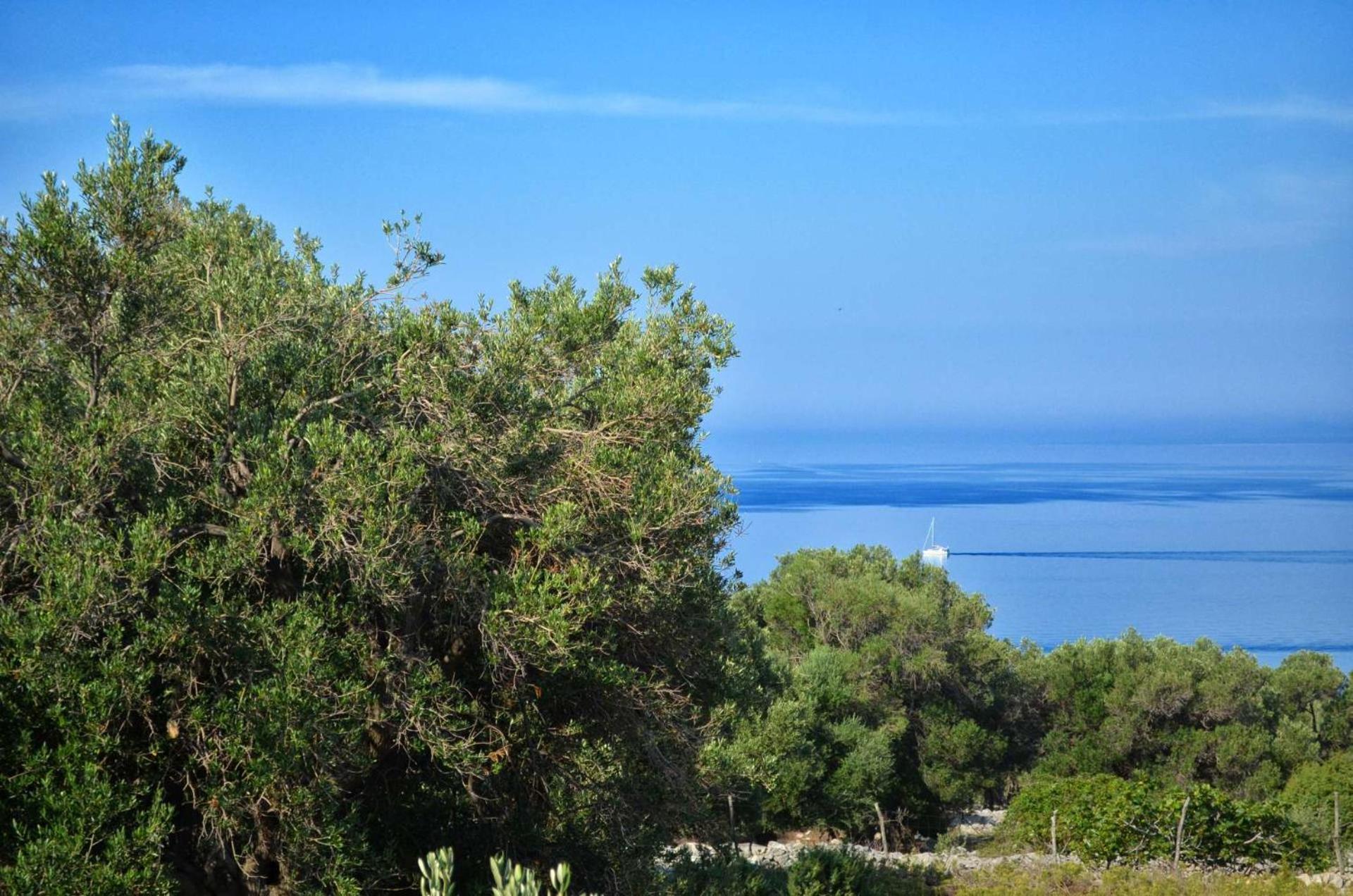 Apartments Krusvina Lun  Δωμάτιο φωτογραφία