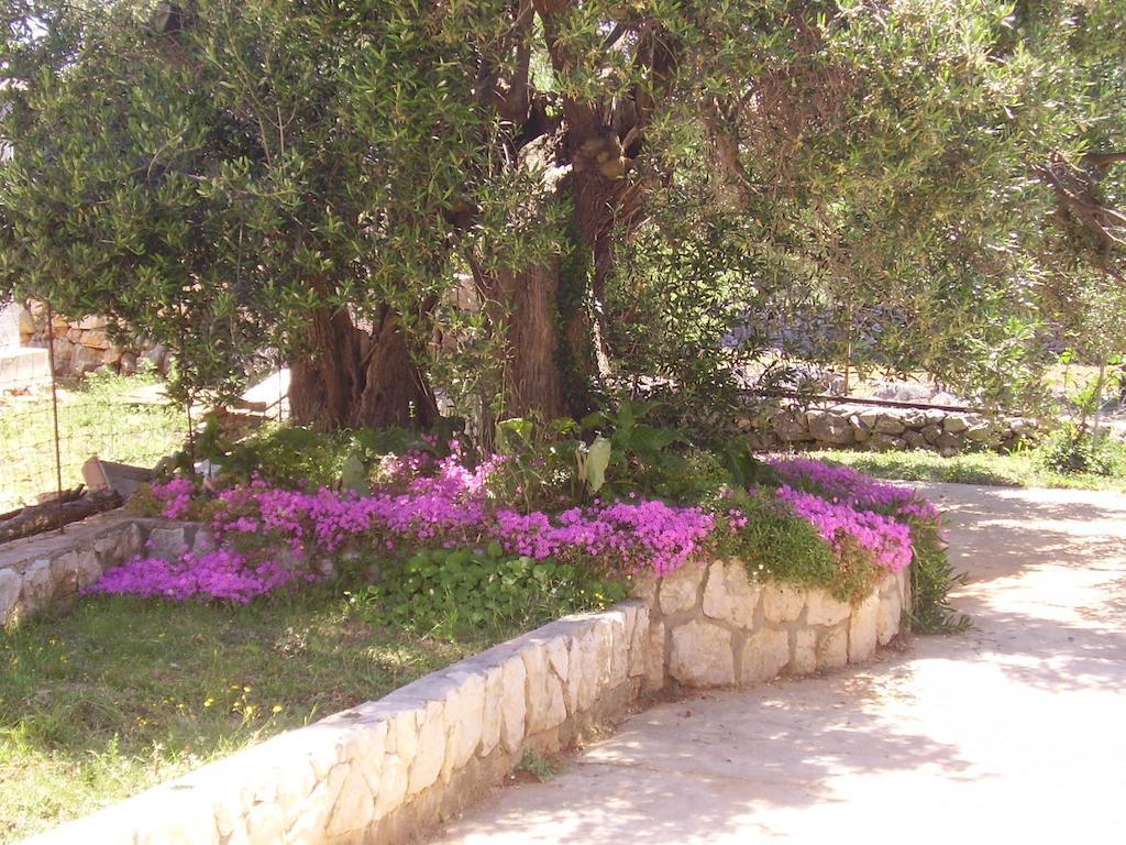 Apartments Krusvina Lun  Εξωτερικό φωτογραφία