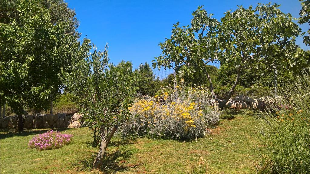 Apartments Krusvina Lun  Εξωτερικό φωτογραφία